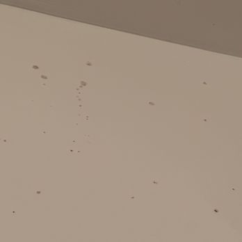 Falls at 109 - Mold in master bathroom. Told maintenance and they just said spray it with bleach and if it comes back spray it again. - Apartments Near Me - Lebanon, Tennessee