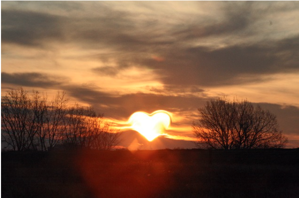 EFT Soul Path - grief counselor in Virginia Beach, VA