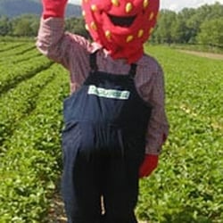 Nourse Farms