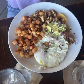 Dogwoods Kitchen and Bar - Wine Bars Near Me - Pontiac, Michigan Dogwoods Kitchen and Bar - Wine Bars Near Me - Pontiac, Michigan