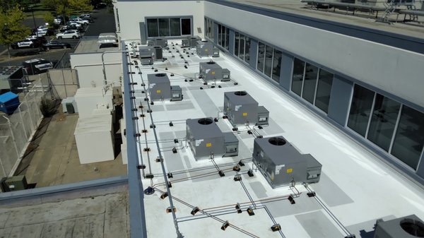 Commercial Projects - COMMERCIAL/INDUSTRIAL
- Retail/Office/Warehouse/ Restaurants
- New Construction
- Remodels
- Site Lighting
- Switches & Outlets, Circuit Breakers, Surge Protectors, Smoke Detectors, Lighting Installation, Generators.