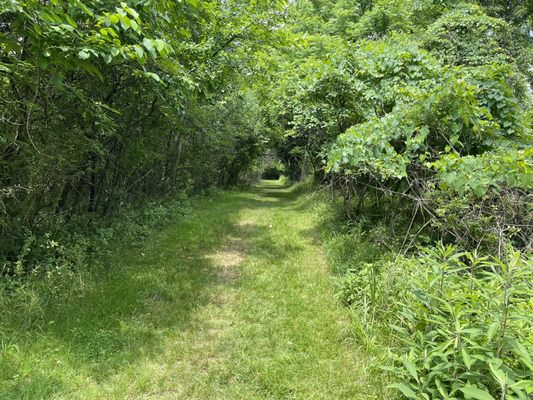 Wissahickon Valley Park by null