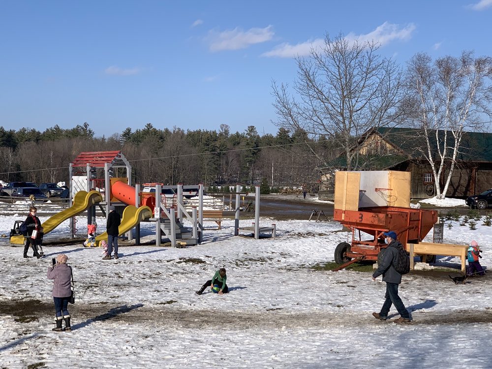 CEDAR HILL CHRISTMAS TREE FARM Updated August 2024 10 Photos 951 8th Concession S