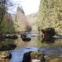 Photo of La Truite du Moulin