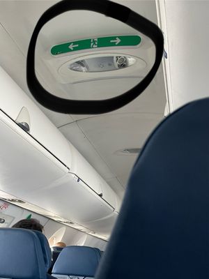 Delta Air Lines by null