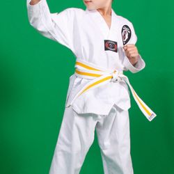 Millennium Martial Arts - Kids learn Respect, Discipline, Focus, Confidence!