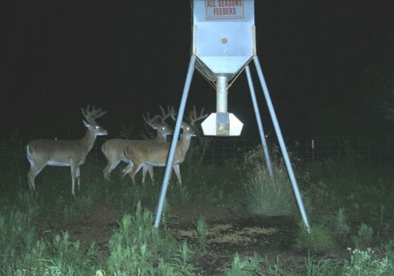 All Seasons Feeders 8424 Us Highway 87 E San Antonio Tx Outdoor