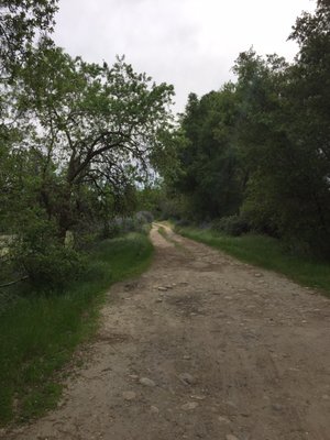 Avocado Lake Park by null