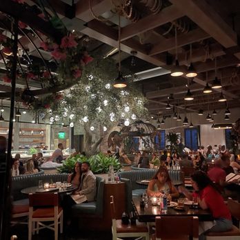 Catch - Seafood Near Me - Las Vegas, Nevada Catch - Seafood Near Me - Las Vegas, Nevada