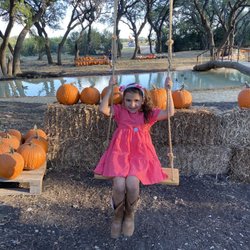 Bulverde Pumpkin Patch - New swing