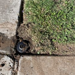 Mando’s Plumbing, Heating & Cooling - Replaced sprinkler head and grass
