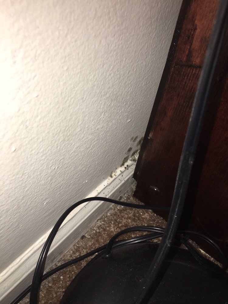 SHOAFF PARK VILLAS Updated July 2024 4584 Jason Dr, Fort Wayne