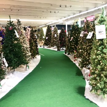 Menards - And more trees! - Building Supplies Near Me - Carmel, Indiana