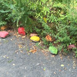 Great Oak Park - Colorful stones in butterfly park