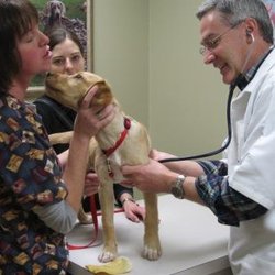 Rainbow Valley Veterinary Clinic