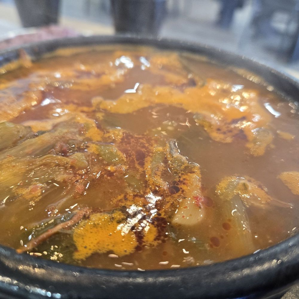 Spicy Beef & Leek