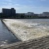 Fish Ladder Park gift card