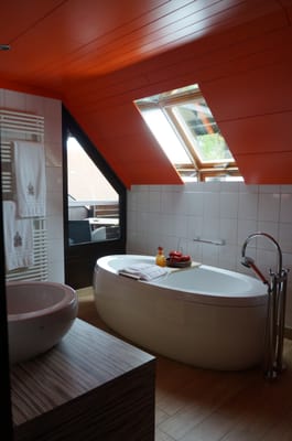 Hôtel des Berges et Spa des Saules [Haeberlin] by null