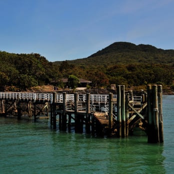 Rangitoto Island - Local Flavor Near Me - Auckland, AUK Rangitoto Island - Local Flavor Near Me - Auckland, AUK