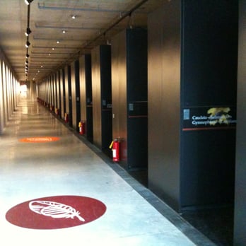 Beaty Biodiversity Museum - 26 rows of shelves to explore. - Museums Near Me - Vancouver, British Columbia Beaty Biodiversity Museum - 26 rows of shelves to explore. - Museums Near Me - Vancouver, British Columbia
