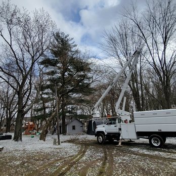 Bour Grounds Tree Service - Tree Services Near Me Bour Grounds Tree Service - Tree Services Near Me