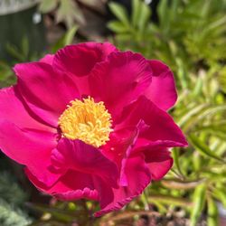Bark & Garden Center
