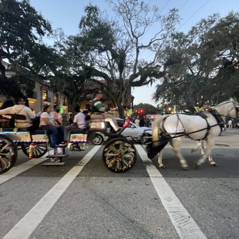 Nights of Lights - Horse drawn carriage - Festivals Near Me Nights of Lights - Horse drawn carriage - Festivals Near Me