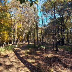 High Mountain Park Preserve - Part of the trail