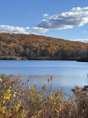 Harriman State Park by null