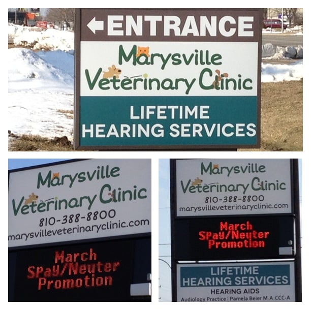 MARYSVILLE VETERINARY CLINIC Updated January 2025 1273 Gratiot Blvd