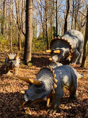 Dinosaur World by null