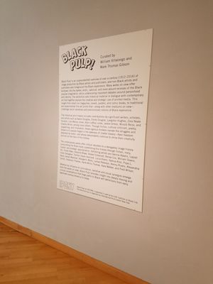 USF Contemporary Art Museum by null