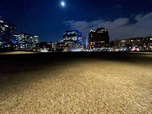 Commons Park by null