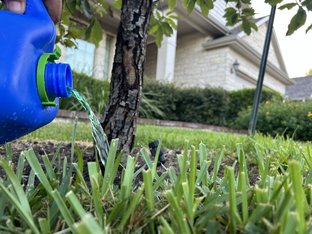 Texas Tree Doctors - tree service in Austin, TX