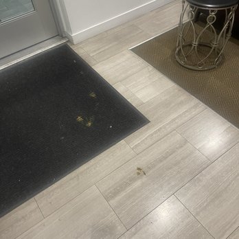Avant Apartments - Poop at the front door of the building that stayed there for 3 days - Apartments Near Me - Los Angeles, California