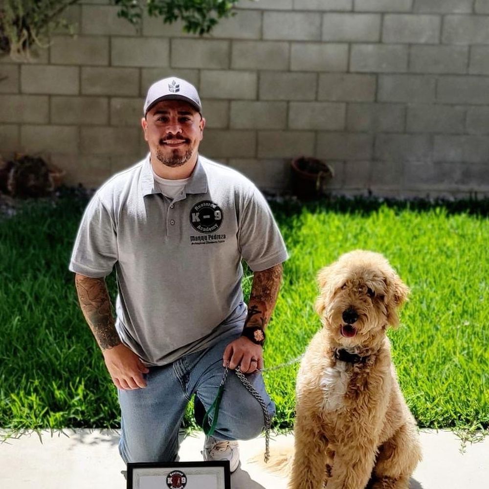 Restored k-9 Academy - Teacher & student - Pet Training Near Me Restored k-9 Academy - Teacher & student - Pet Training Near Me