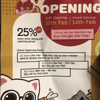 Meowko Bubble Tea - Bubble Tea Near Me - Brighton, BNH