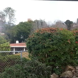 Community of Rancho Bernardo - Grandmother's view backyard