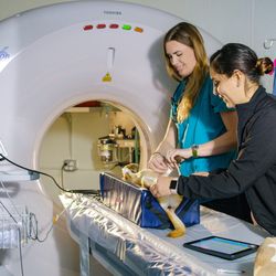 BluePearl Pet Hospital