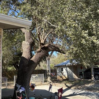 Los Tres Hermanos Tree service - Tree Services Near Me Los Tres Hermanos Tree service - Tree Services Near Me