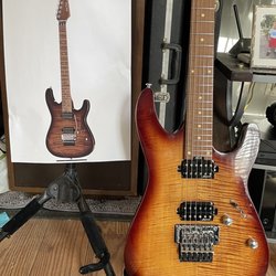 Musikhaus Thomann - Comparison of the picture of what I was supposed to get and the guitar they shipped me!