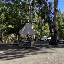 Holly's Hill Vineyards & Brewery - Shaded areas