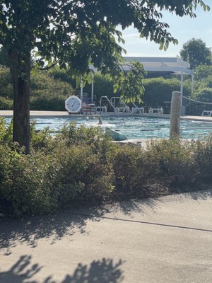 COMO REGIONAL PARK POOL - Updated July 2025 - 22 Photos & 25 Reviews