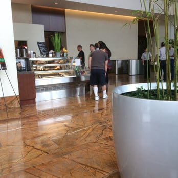 Caffè Strega - a large plant in a white pot - Cafes Near Me - Boston, Massachusetts Caffè Strega - a large plant in a white pot - Cafes Near Me - Boston, Massachusetts