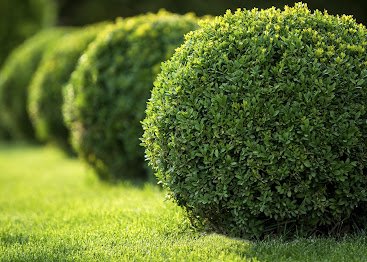 PGM Facility Services - tree service in Jacksonville, FL