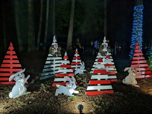 The Lights of Christmas by null