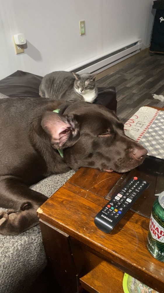 Slide of Pigeon Hill Electric