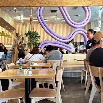 Madi - Indoor - Breakfast & Brunch Near Me - San Diego, California Madi - Indoor - Breakfast & Brunch Near Me - San Diego, California