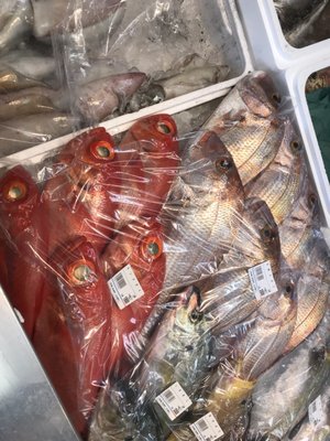 Tsukiji Outer Market by null