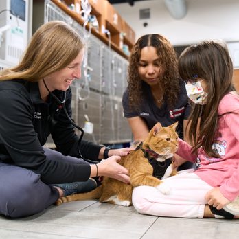 Veterinary Emergency Group - Emergency Pet Hospital Near Me - Boulder, Colorado